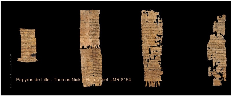 Papyrus de Lille. Photographie Thomas Nick – Halma-Ipel UMR 81264