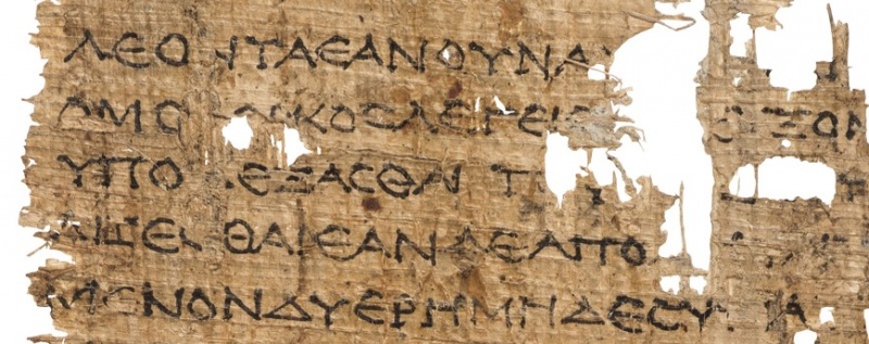 Détail du Papyrus de Lille. Photographie Thomas Nick – Halma-Ipel UMR 8164